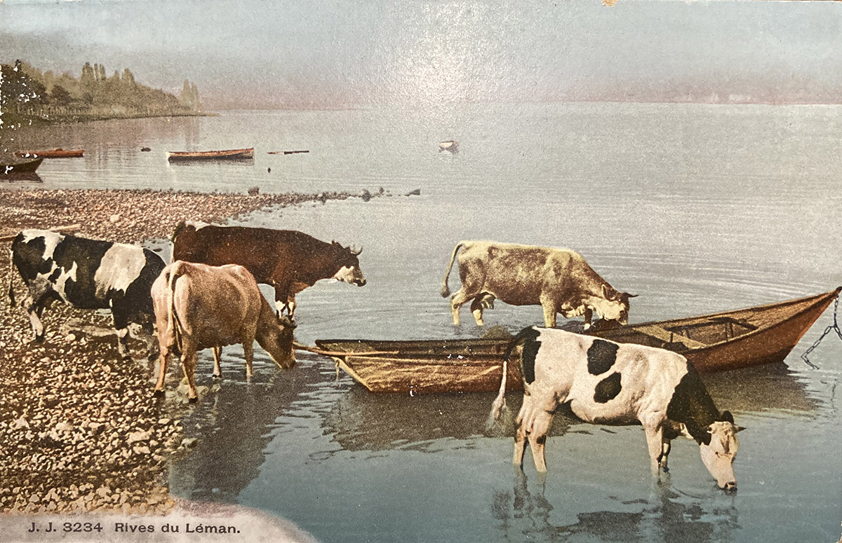carte postale lac leman academie-chablaisienne